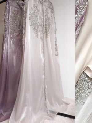 Anaya Embellished Organza Silk Cape Set (2 Shades)