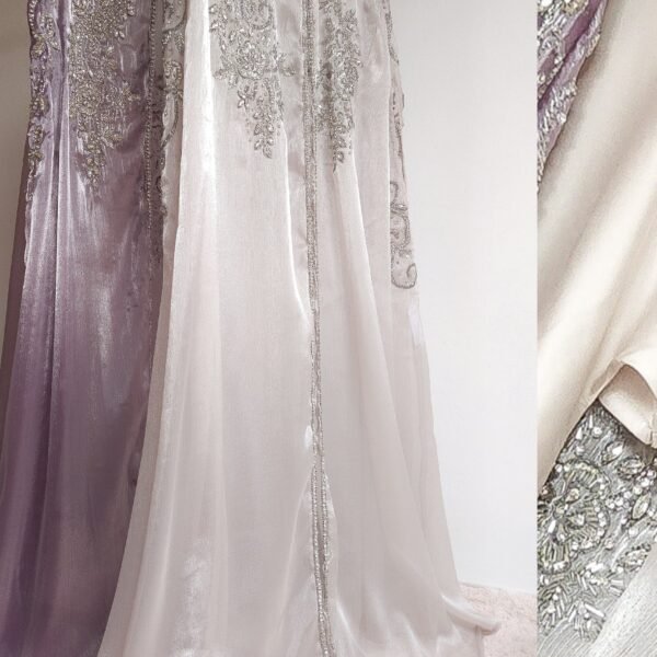 Anaya Embellished Organza Silk Cape Set (2 Shades)