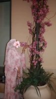 Soleil | Rose Mist | Floral Print Chiffon Abaya